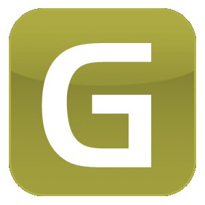 Government Health IT Staff